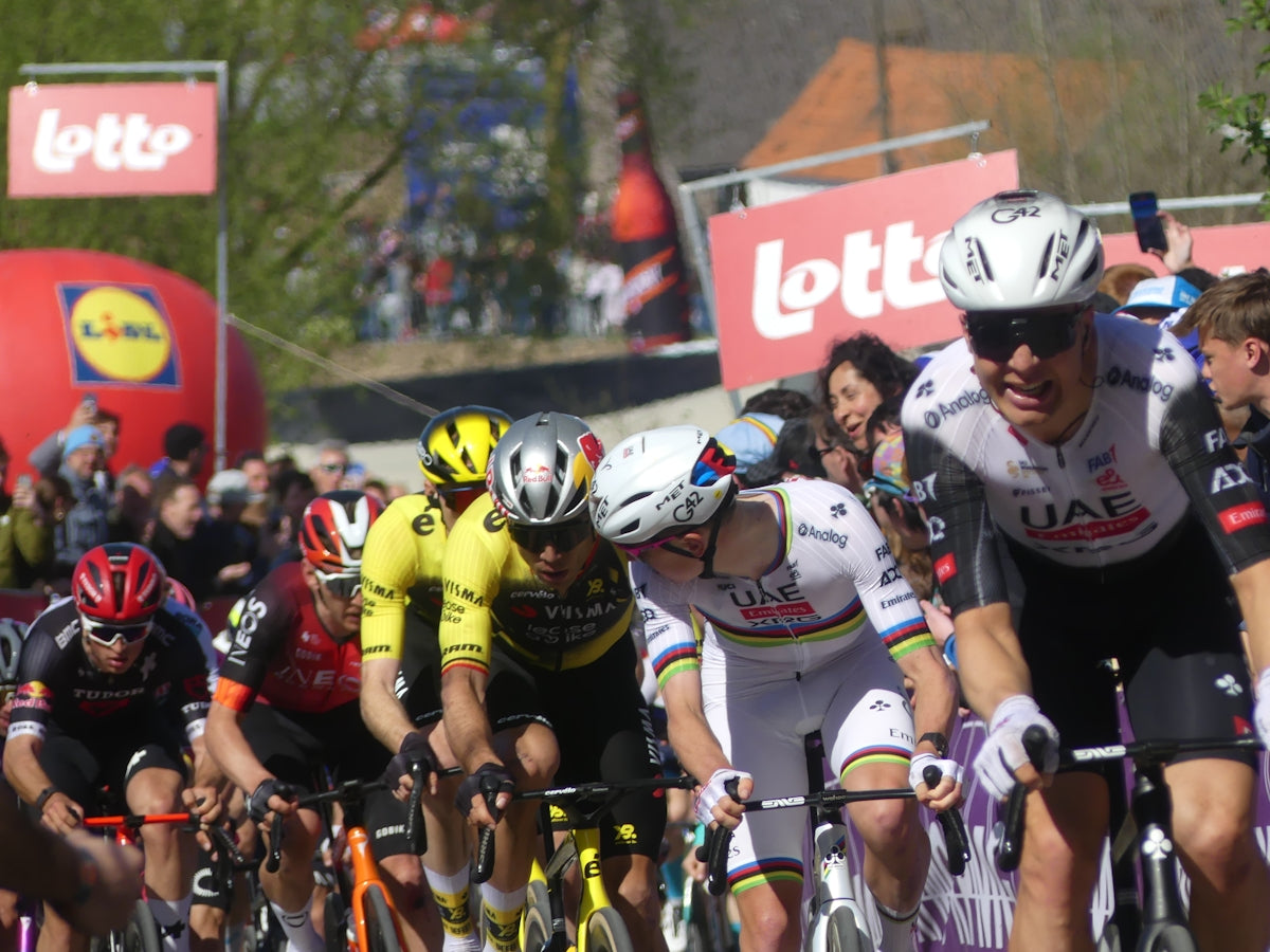 Cyclists racing in a professional competition