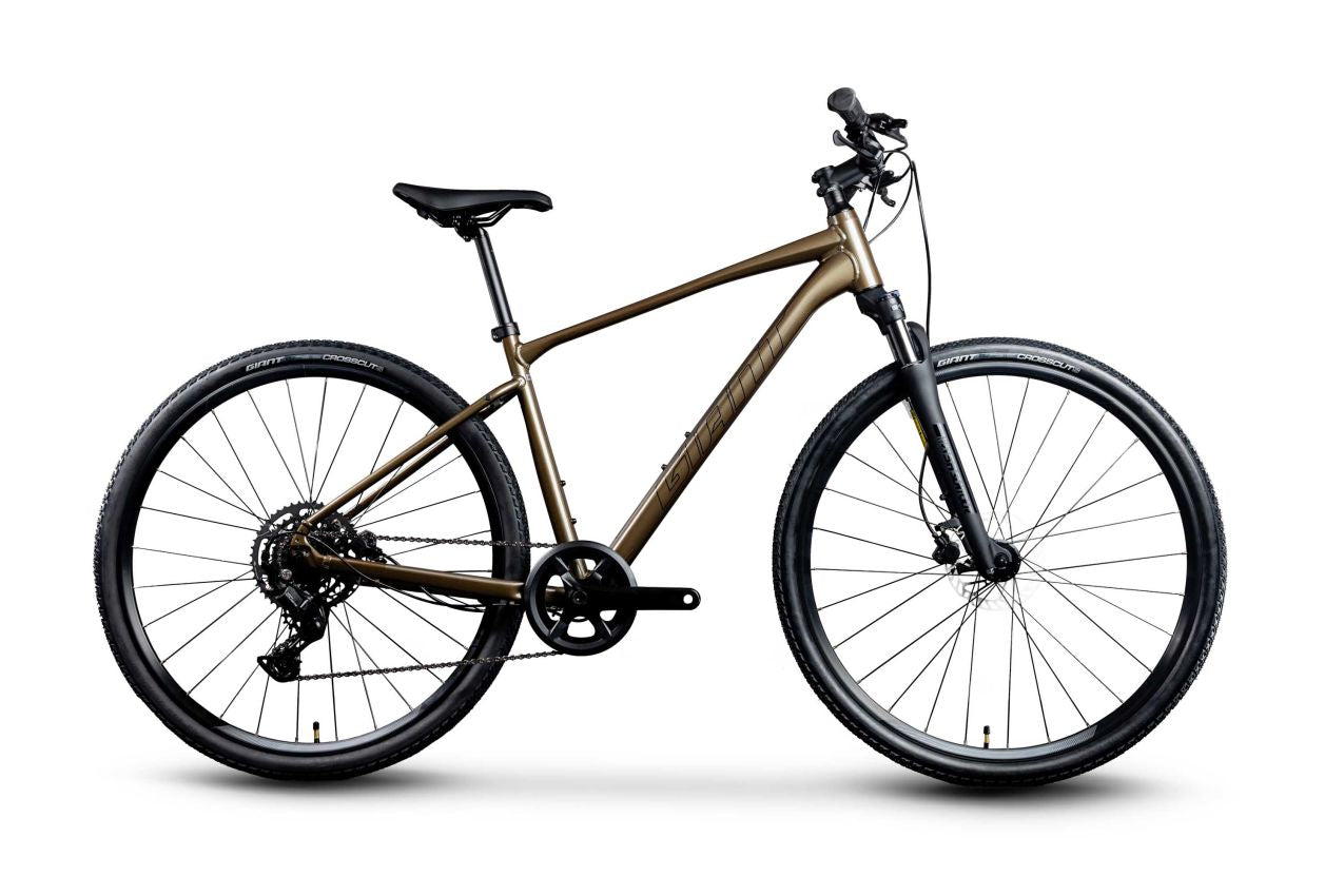 Giant Roam 2 Disc (Pyrite Brown) | Cycling Gears Hub
