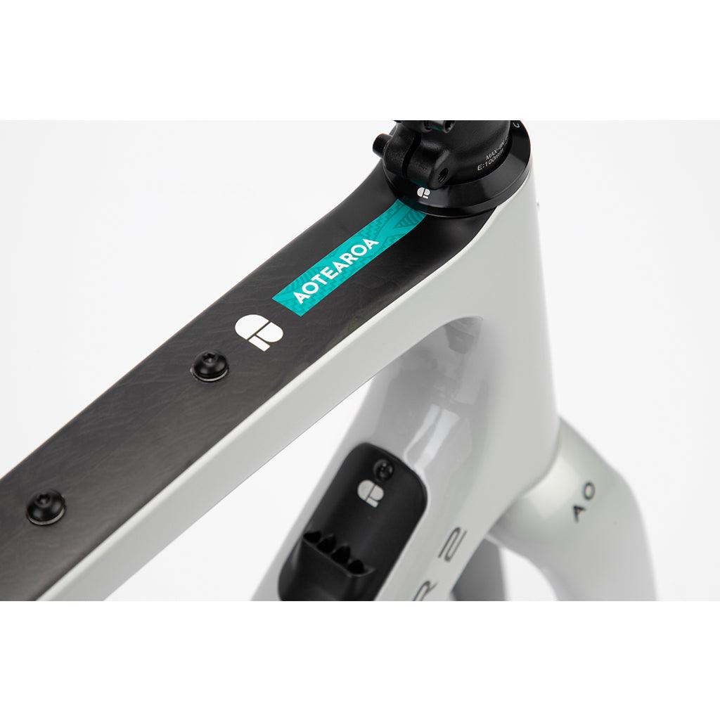 Chapter 2 AO Disc Brake Frameset (Silver Matt) | Cycling Gears Hub