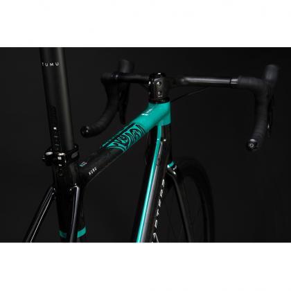 Chapter2 HURU Disc Brake Frameset (Aqua/UD) | Cycling Gears Hub