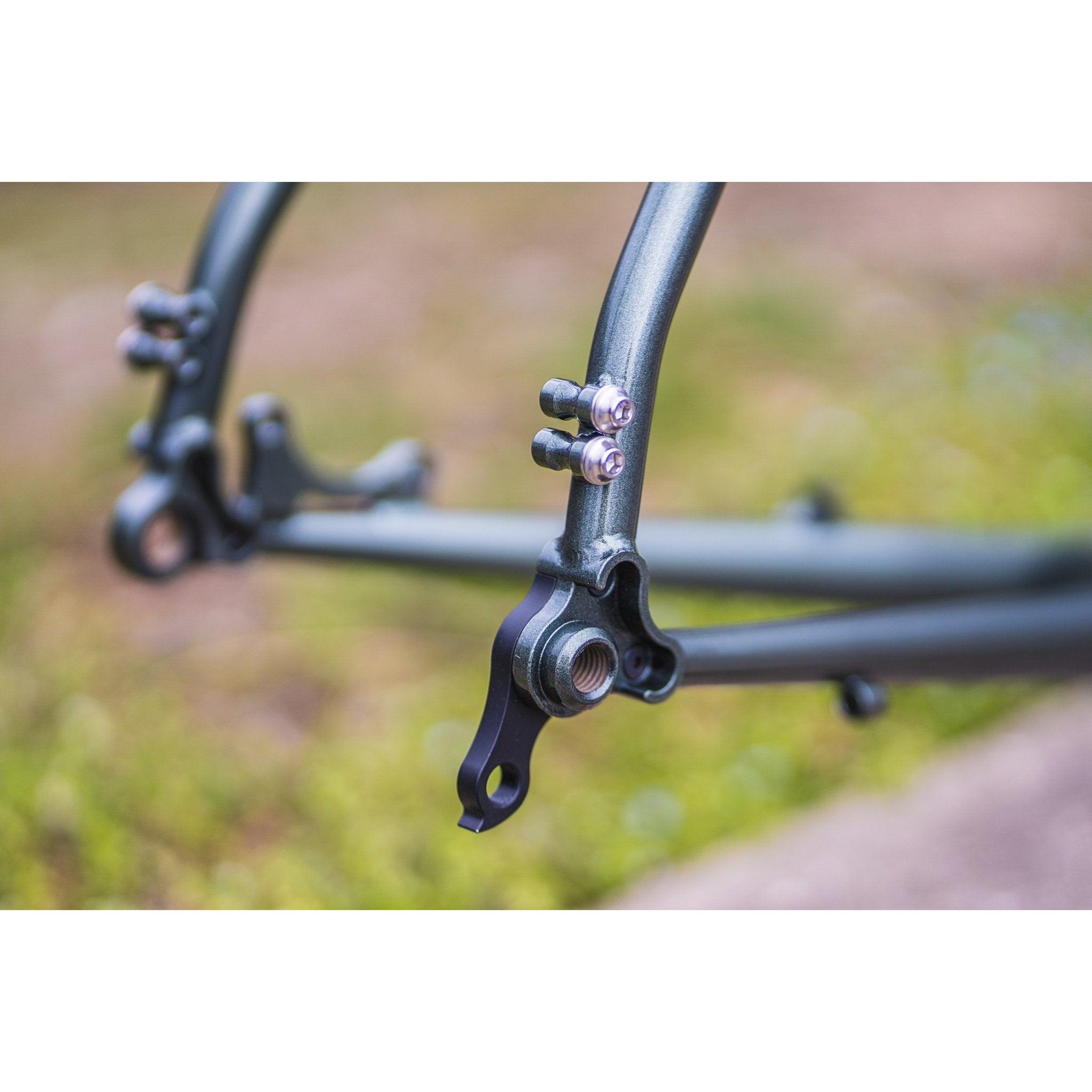 Velo Orange Polyvalent Low Kicker Frameset (Sage Metallic) | Cycling Gears Hub
